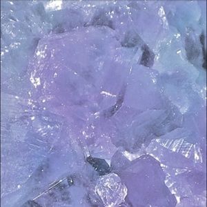 Meet your Posher, Ellyn